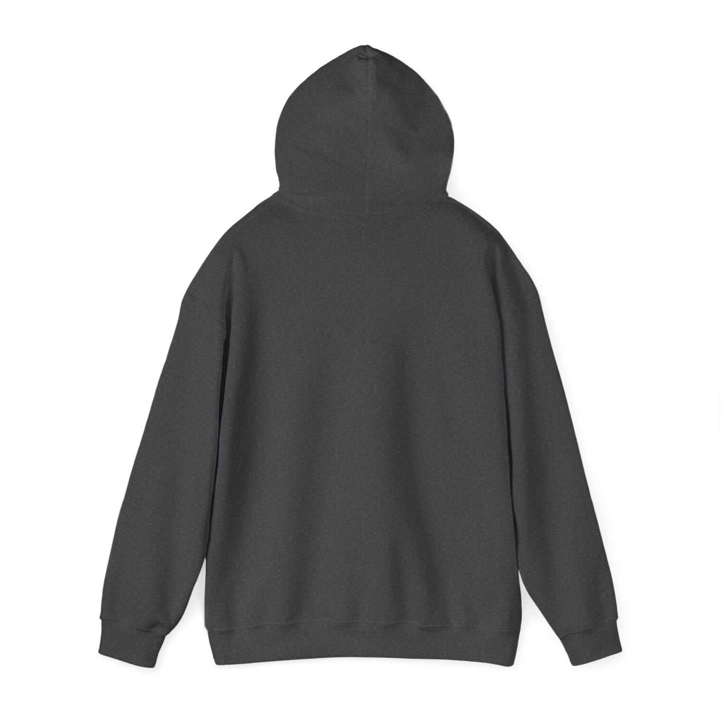 Kenya University Hoodie